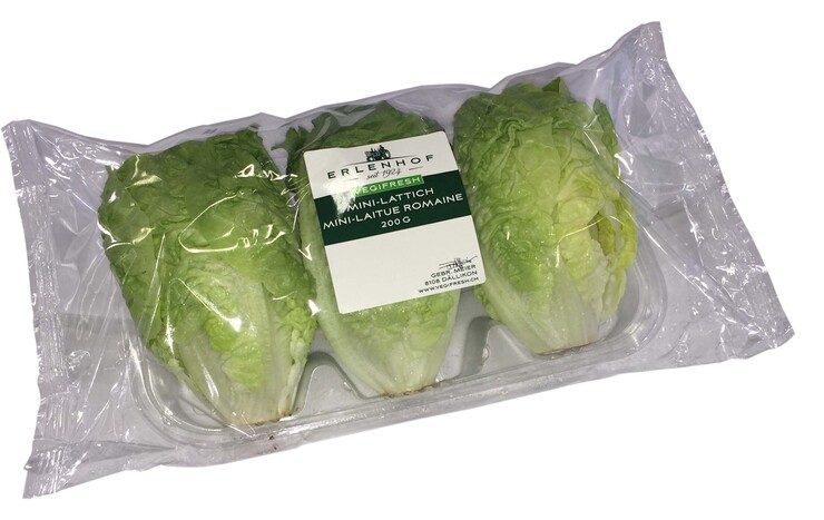 Römersalat